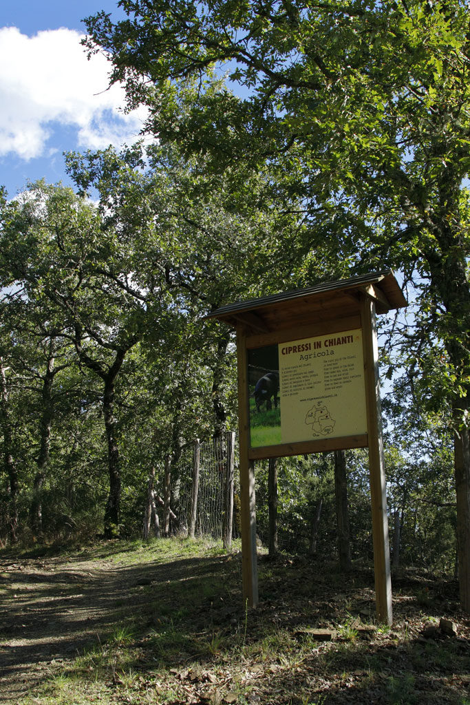 Entrance to Cinta Senese free-range breeding