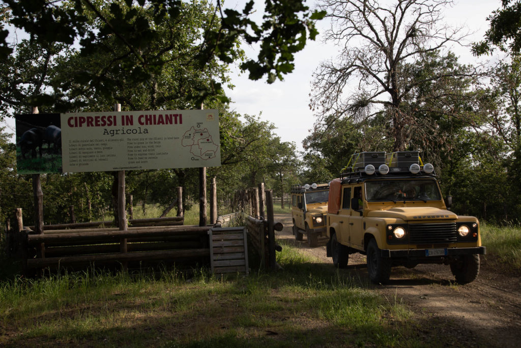 Tour con Jeep in Toscana nei boschi di Barbischio