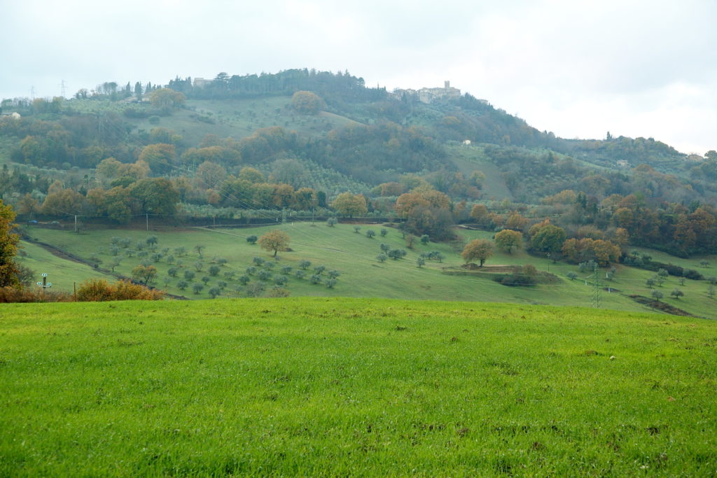 Paesaggio della valle del Chianti