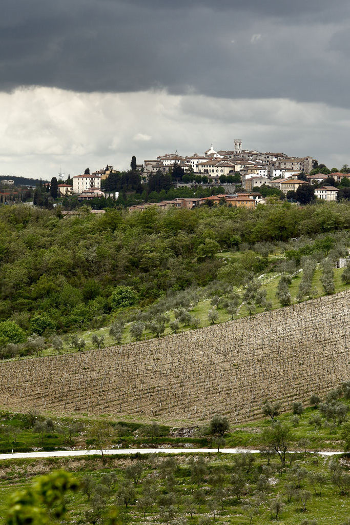 Vista di Radda in Chianti